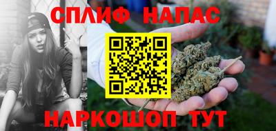 тгк Славгород