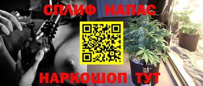тгк Славгород