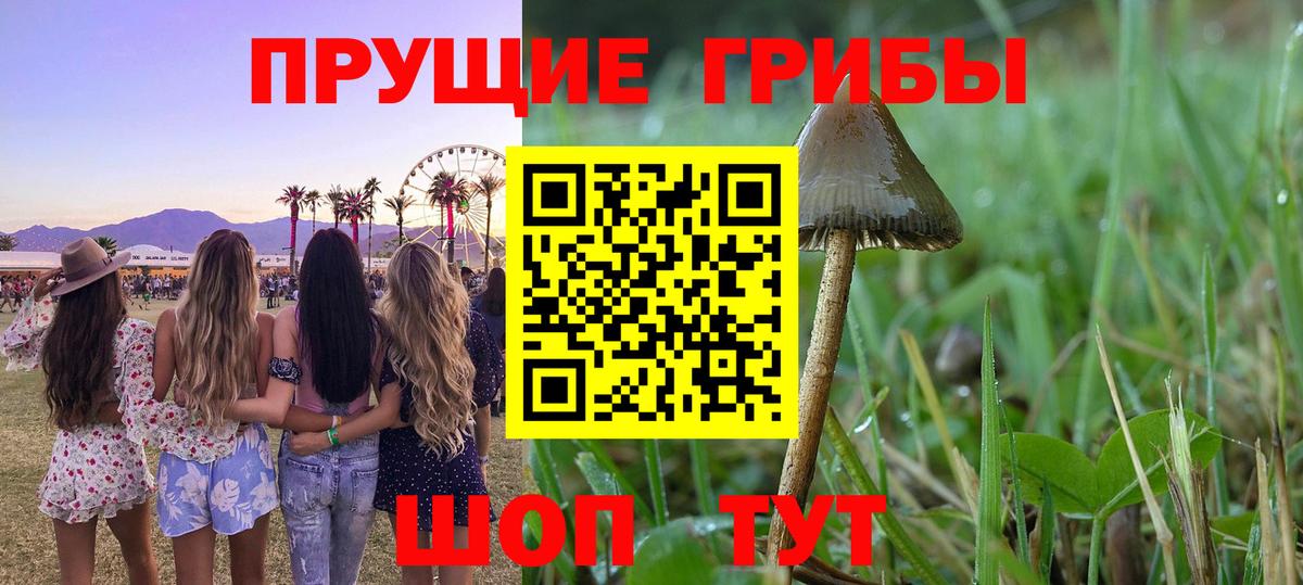 Галлюциногенные грибы ЛСД Приморско-Ахтарск