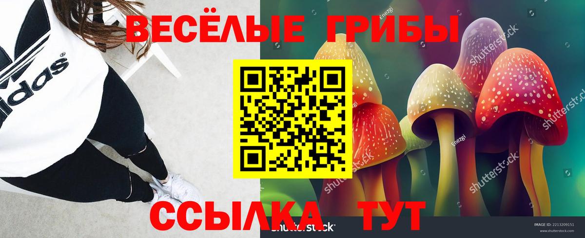 Приморско-Ахтарск  купить наркоту  Вход с VPN  Псилоцибиновые грибы MAGIC MUSHROOMS 